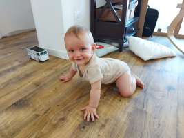 louis